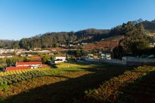 Magnolia Bed & Breakfast,,3 star