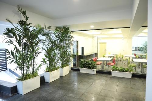 swansuites gachibowli