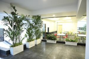 swansuites gachibowli