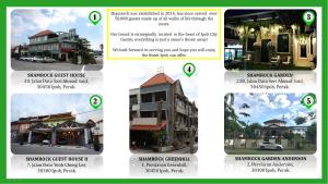 shamrock guest house