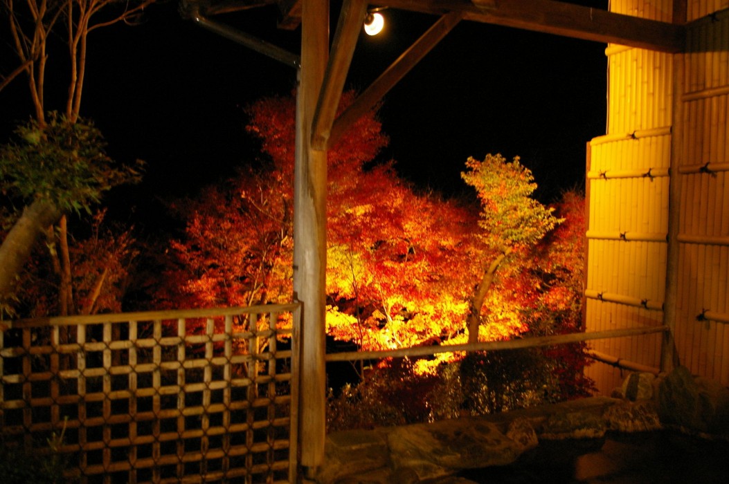 miyataya ryokan