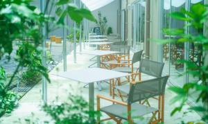takaone activityandstay