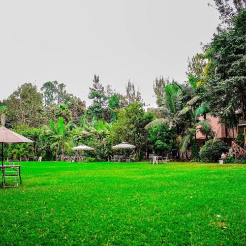 edgewood country place