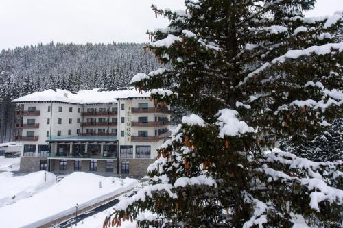 hotel belmont