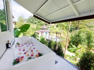 magical mountain view resort