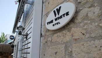 the white hotel
