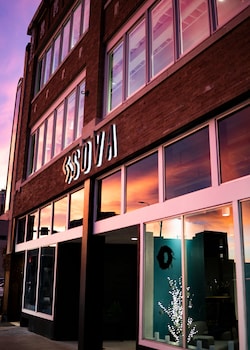 sova micro room and social hotel