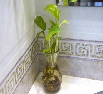 reddoorz sao hotel nguyen ngoc vu