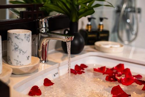 hoi an merrily de art hotel