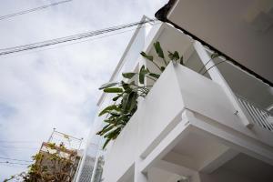 whammy house dalat
