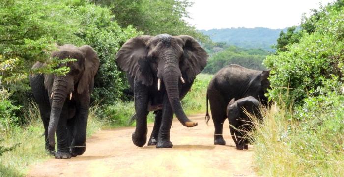 sleepover kruger gate