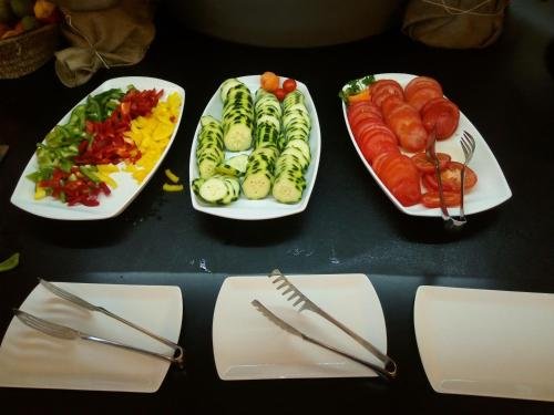 integral hotel arbia villa rio