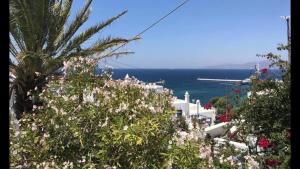 rania apartments sea view