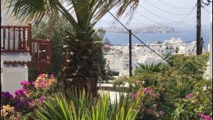 rania apartments sea view