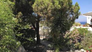 rania apartments sea view
