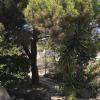 rania apartments sea view
