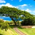 kapalua ridge villas by kbm vacations