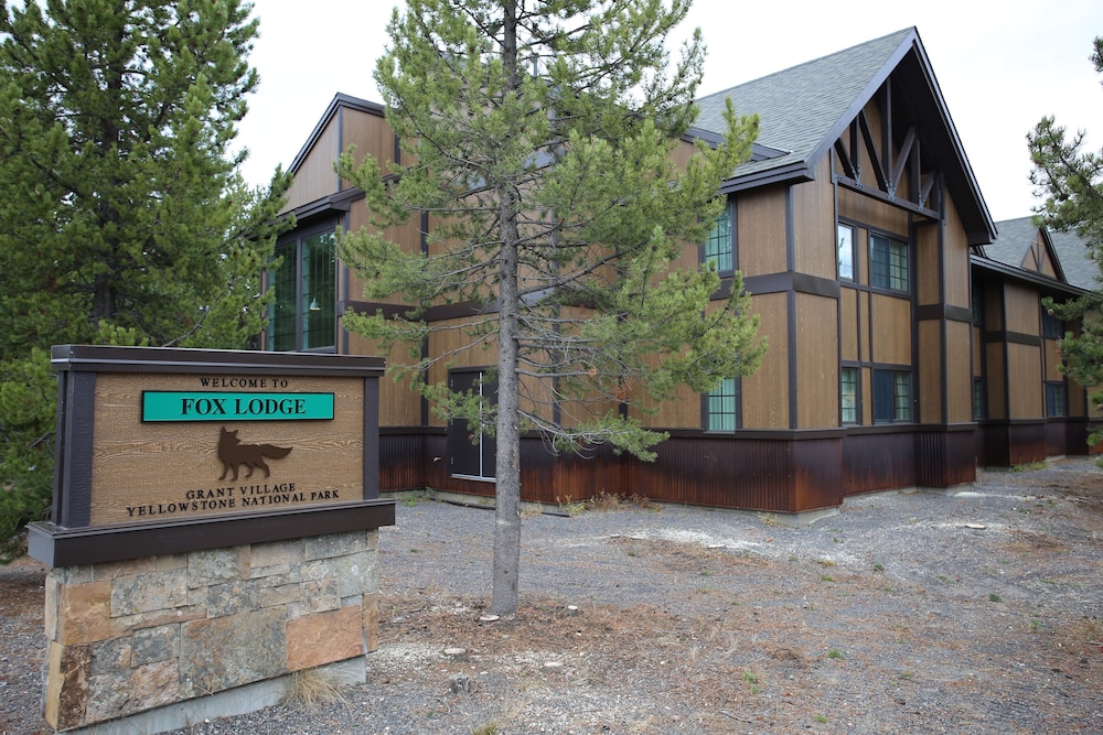 yellowstone national park
