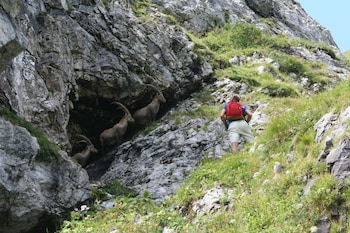 samoens