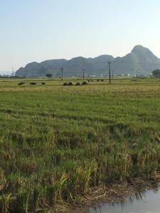 limestone view homestay