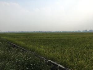 limestone view homestay