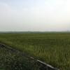 limestone view homestay