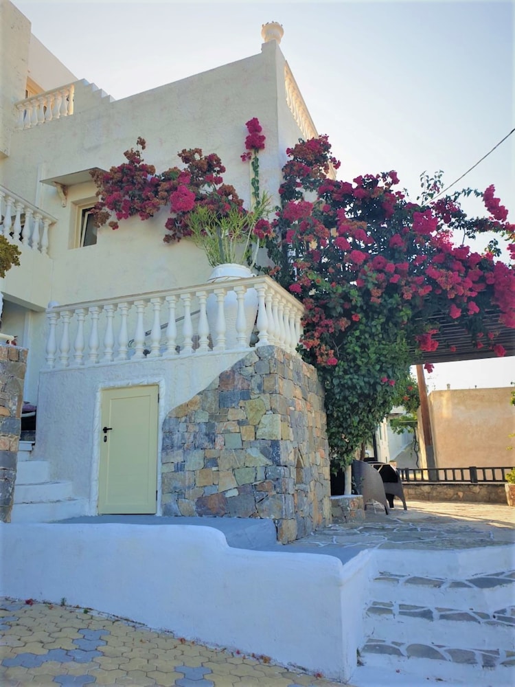 korifi suites collection adults only