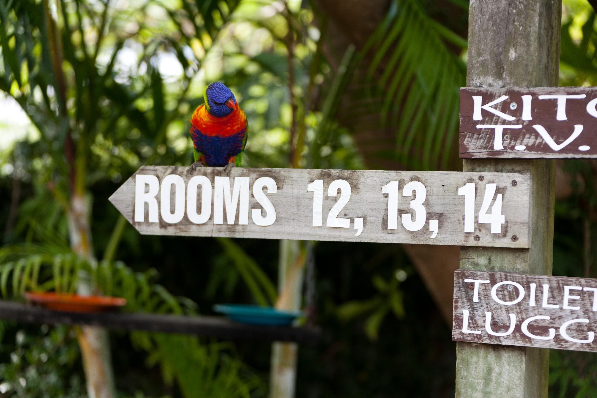 woolshed eco lodge