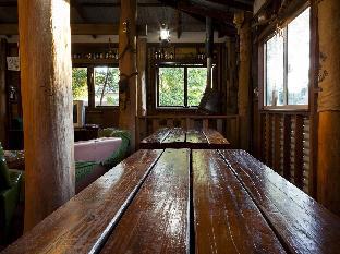 woolshed eco lodge