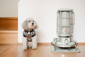 grapehouse koenji hostel caters to women