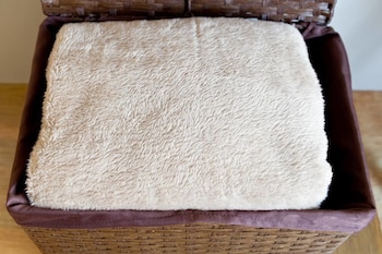 grapehouse koenji hostel caters to women