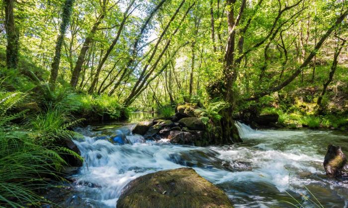 o muino de pena casa rural