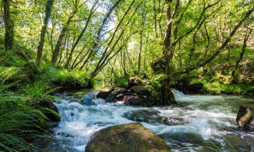 o muino de pena casa rural
