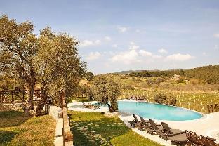 selcuk
