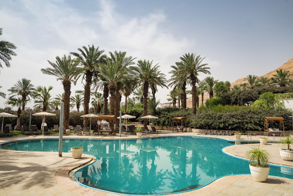 david dead sea resort and spa