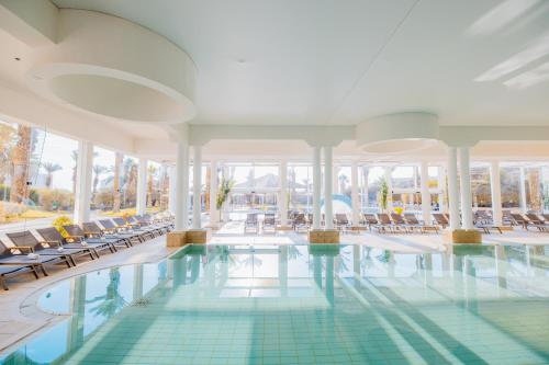 david dead sea resort and spa