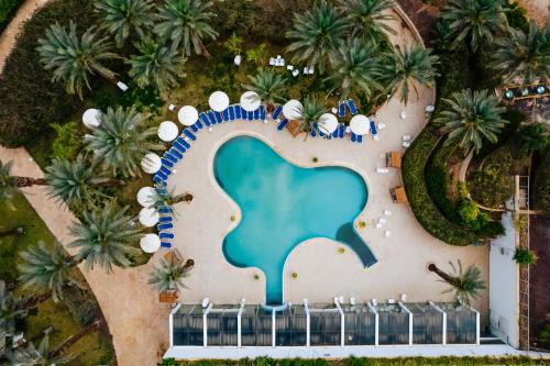 david dead sea resort and spa