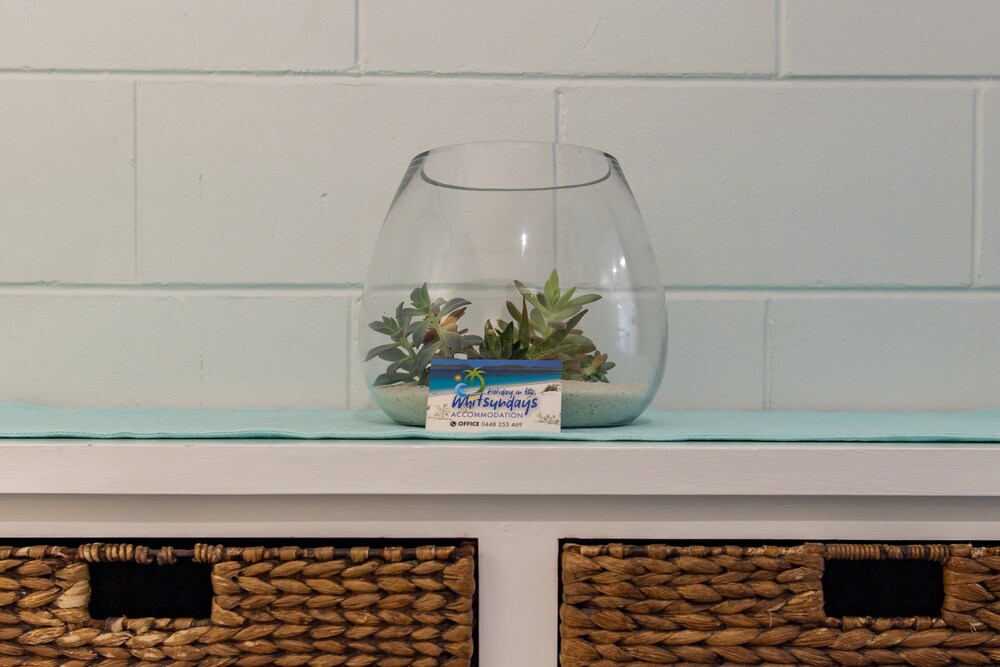 airlie sun and sand accommodation 5