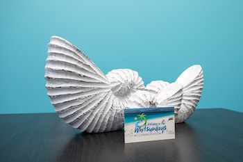 airlie sun and sand accommodation 5