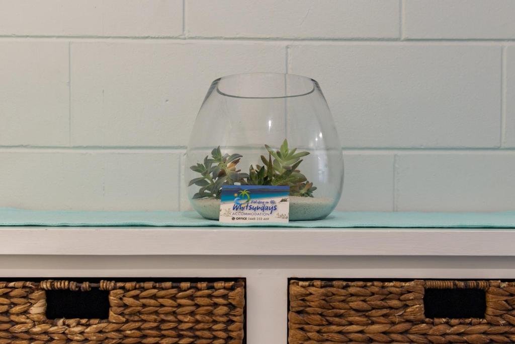 airlie sun and sand accommodation 5