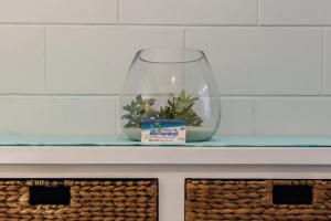 airlie sun and sand accommodation 5