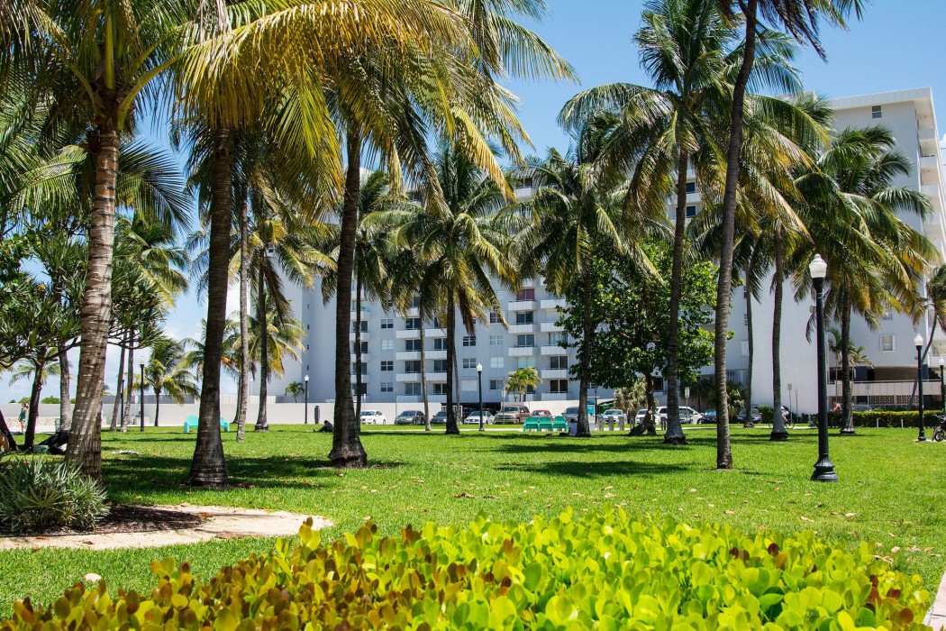 335 ocean walk apartments