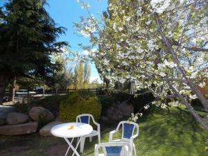 el calafate