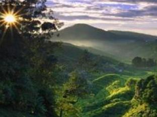 holiday accommodation cameron highlands