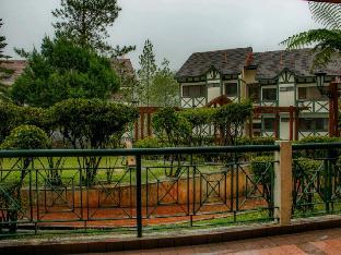 holiday accommodation cameron highlands