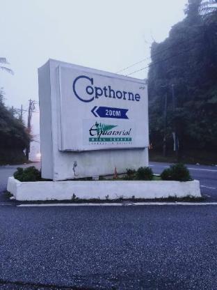 holiday accommodation cameron highlands