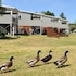 nrma sydney lakeside holiday park