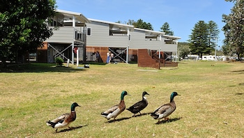 nrma sydney lakeside holiday park