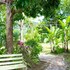 the sinopia inn