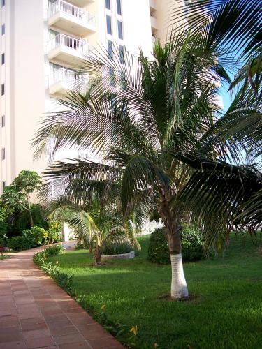 salvia cancun aparts